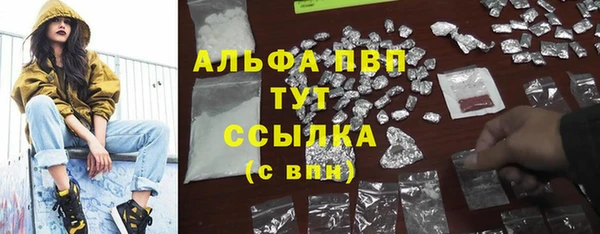 СК Михайлов