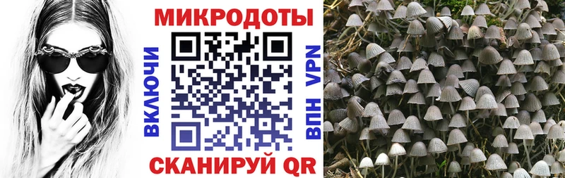 Галлюциногенные грибы Magic Shrooms  где купить   Новосокольники 